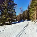 Serin Vítkovice