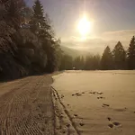 Serin Vítkovice
