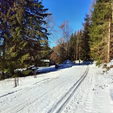 Serin Vítkovice