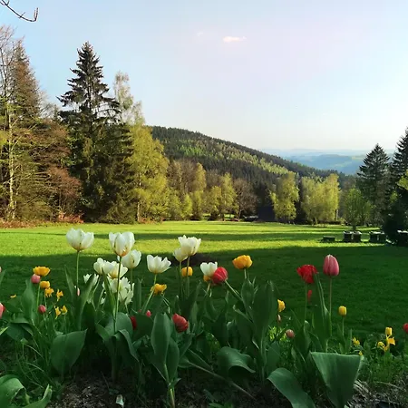 Domek alpejski Serin