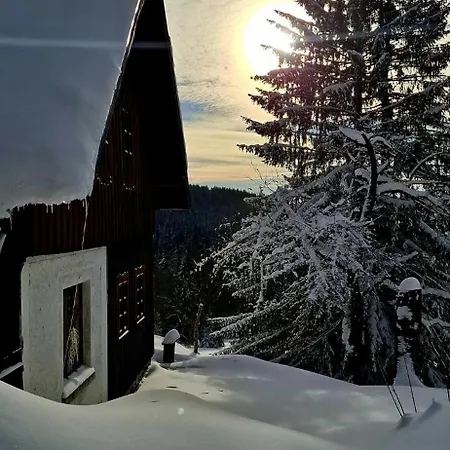Serin * Vítkovice