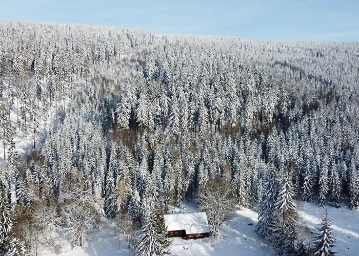 Serin Vítkovice