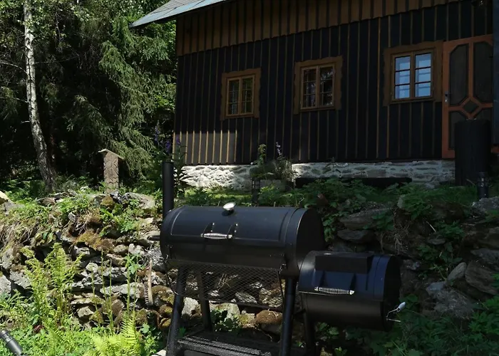 Serin Dağ evi *
