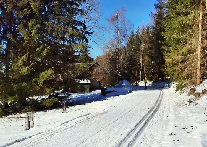 Serin Vítkovice