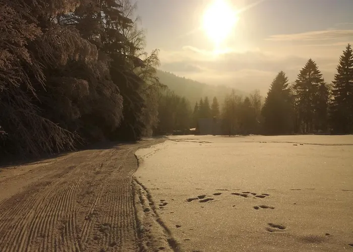 Serin Vítkovice